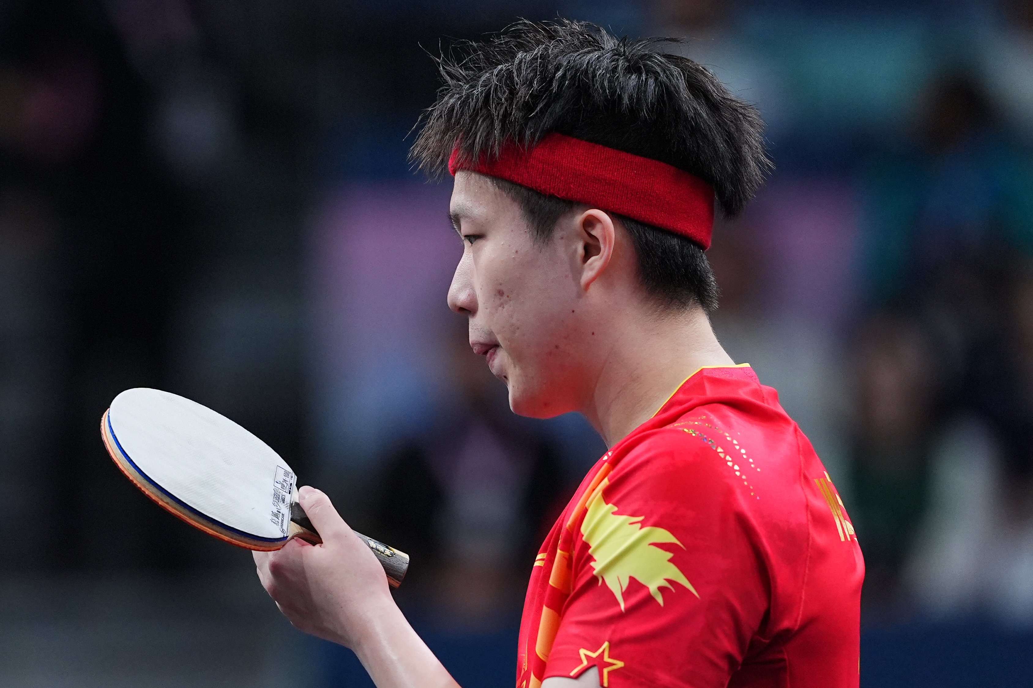 包含奥地利乒乓球队力克法国乒乓球队，水谷隼高光表现的词条