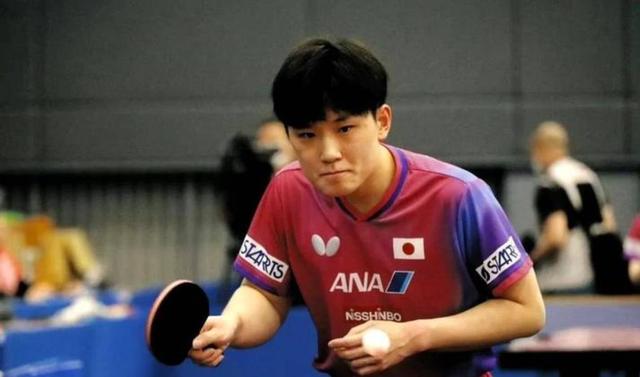 关于法国乒乓球队横扫德国乒乓球队，张本智和高光表现的信息