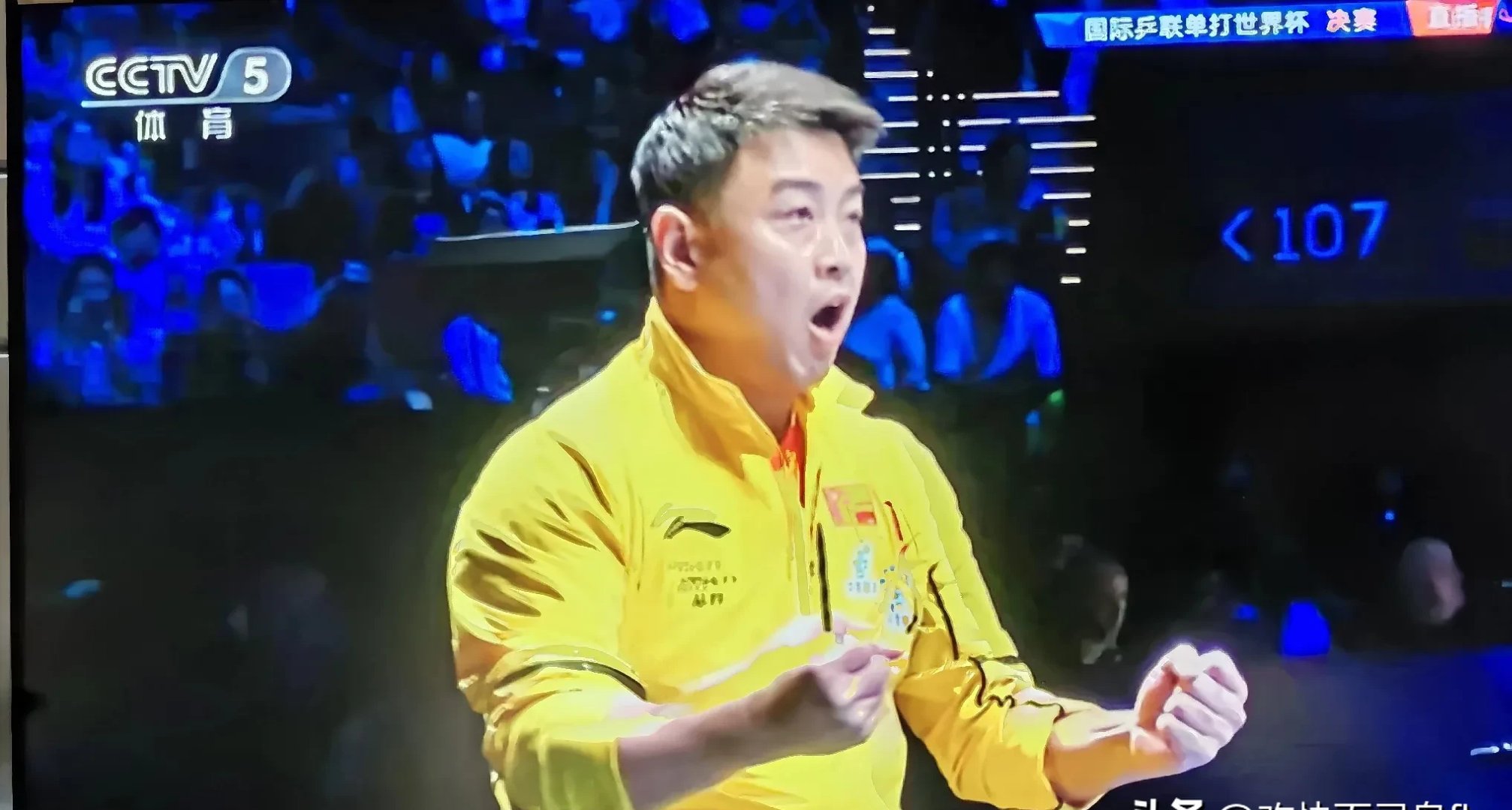 英国乒乓球队鏖战奥地利乒乓球队,王皓制霸全场的简单介绍 英国乒乓球队鏖战奥地利乒乓球队,王皓制霸全场的简单介绍