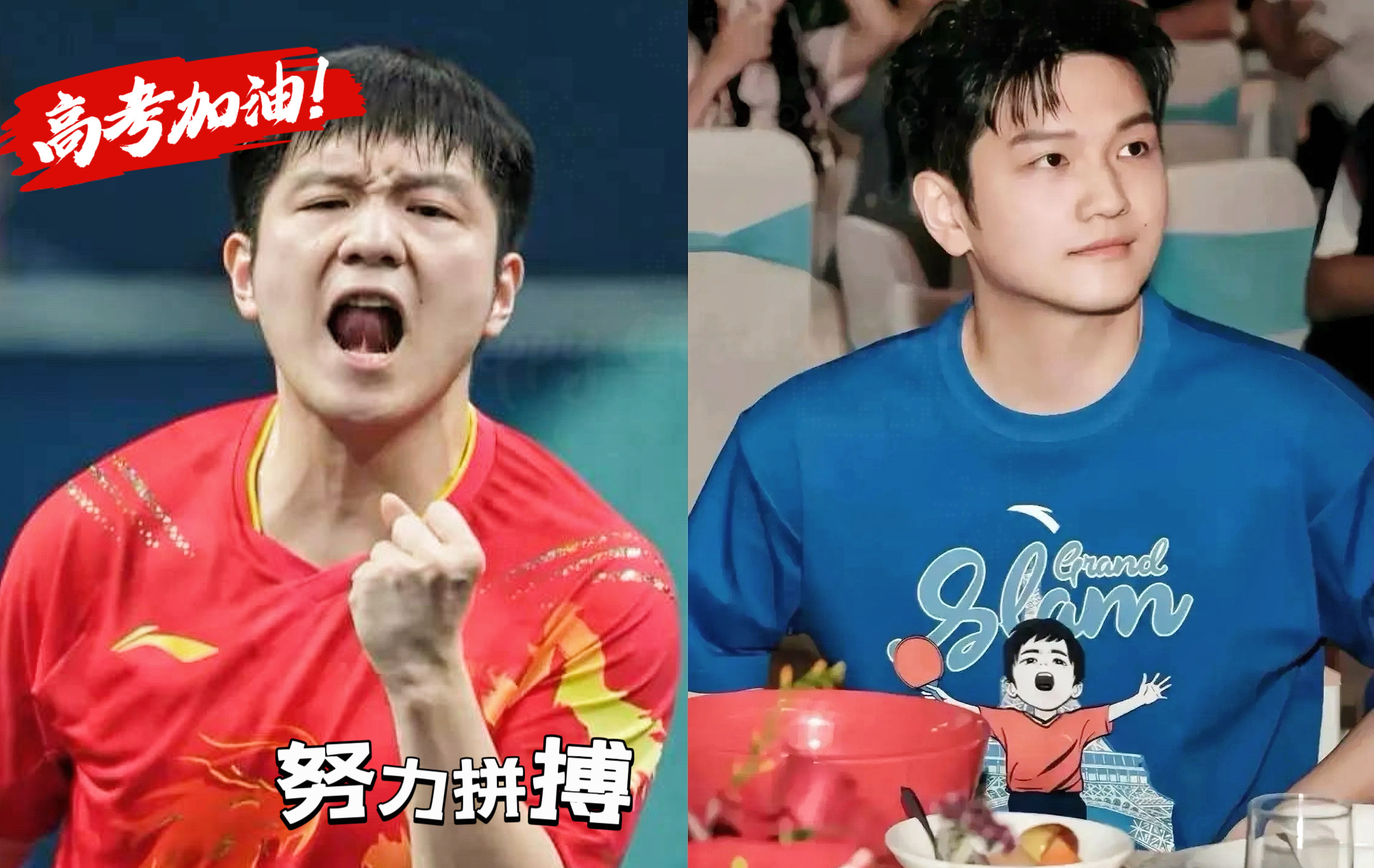 关于日本乒乓球队轻取韩国乒乓球队，樊振东完成帽子戏法的信息