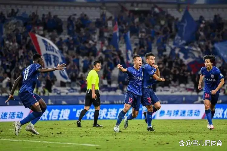 申花主场大败国安，遭遇低迷的简单介绍