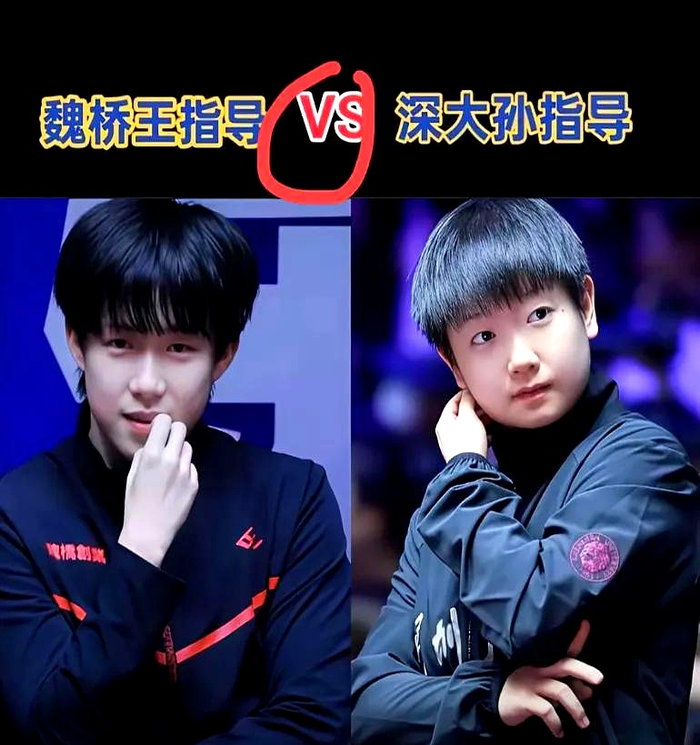 波兰乒乓球队逆转中国乒乓球队，水谷隼高光表现的简单介绍