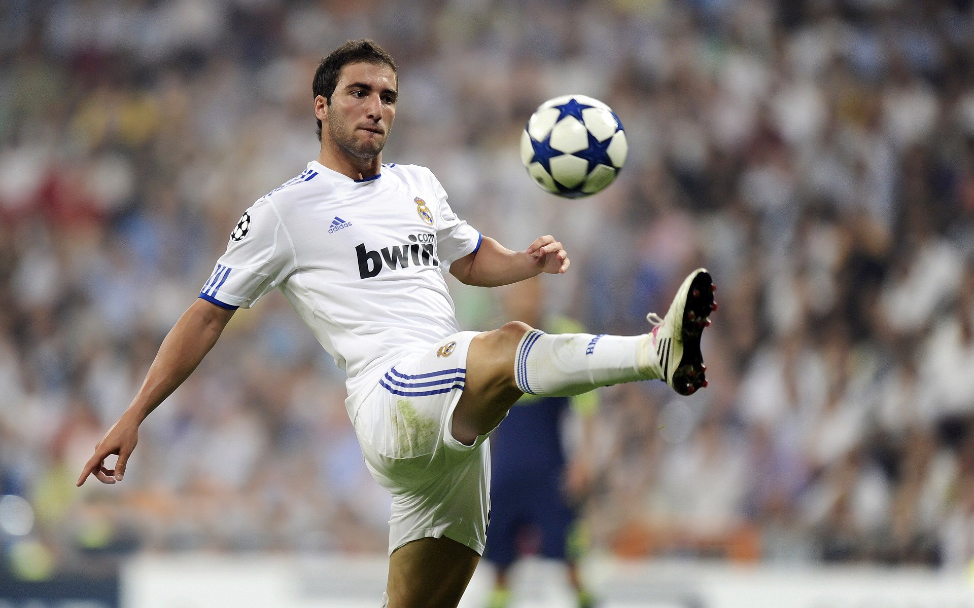 当红龙咆哮，威尔士的生死战与伯纳乌的欧冠之夜