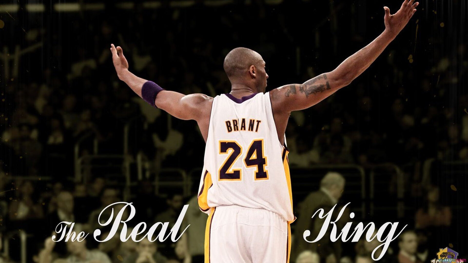 贝林厄姆全程高能输出，荷兰完胜西班牙，一场战术与意志的完胜